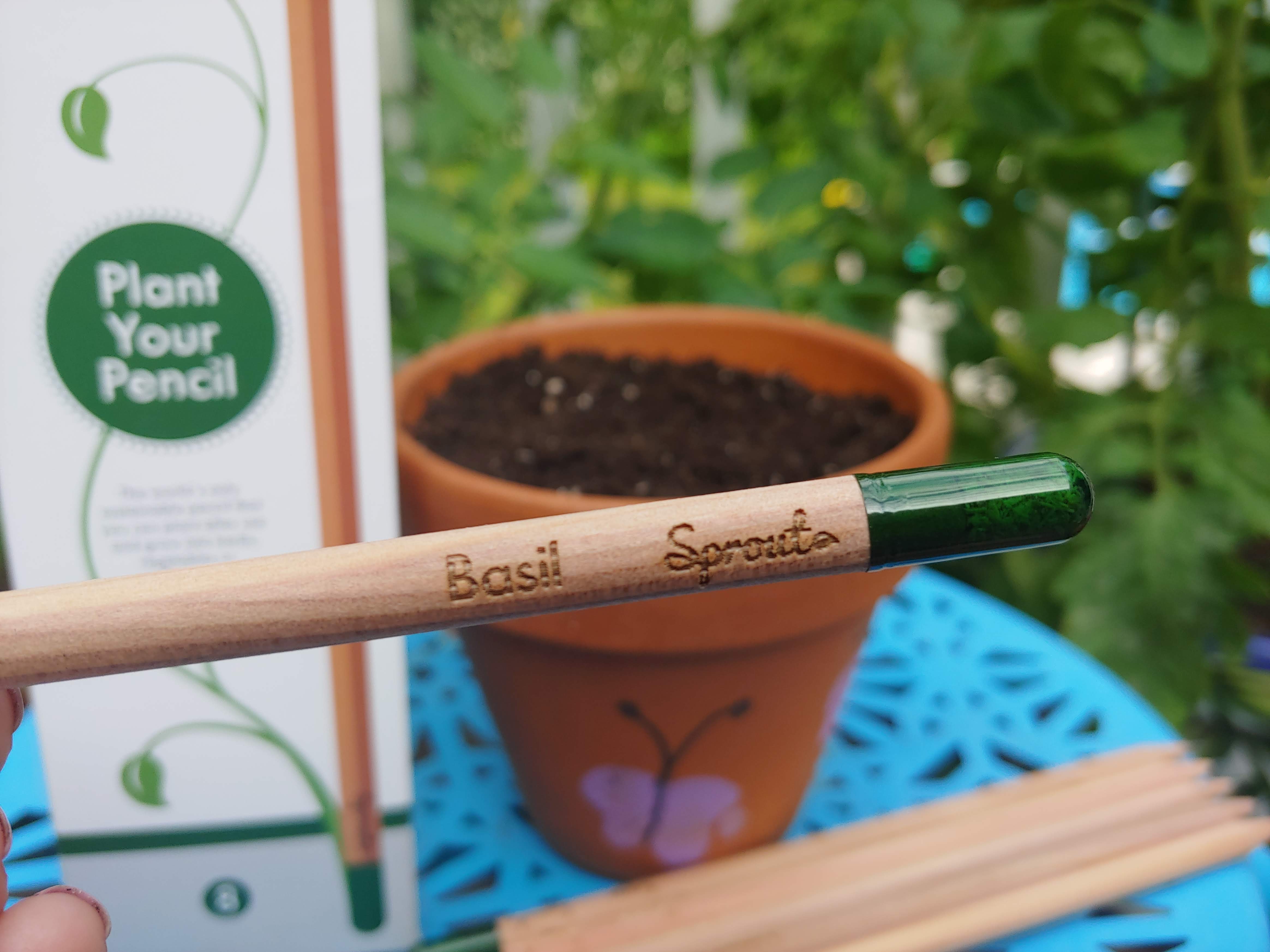 Pencil with a flower pot behind it and on a blue plant stand